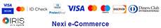 nexi ecommerce